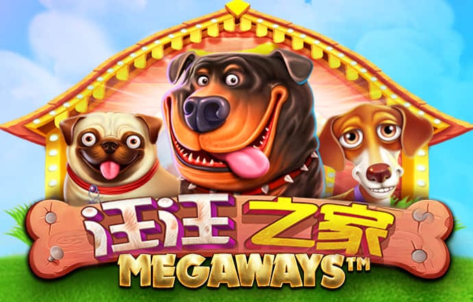 哈哈体育最新官网入口